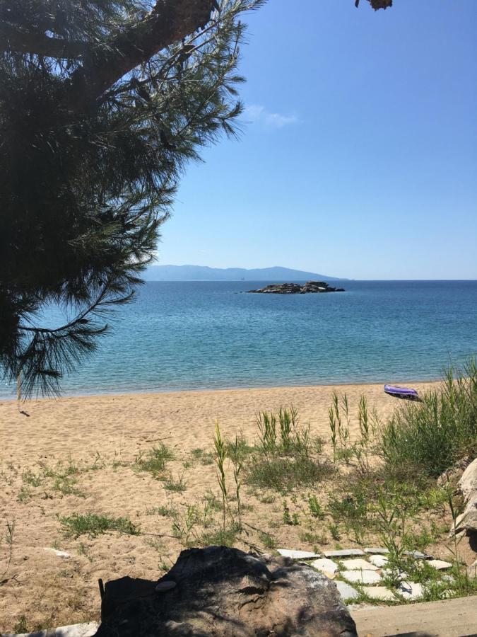 דירה Secret Bay *